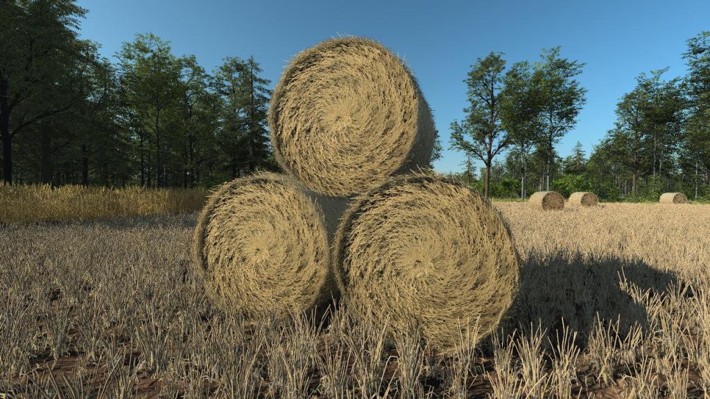 Hay Bales