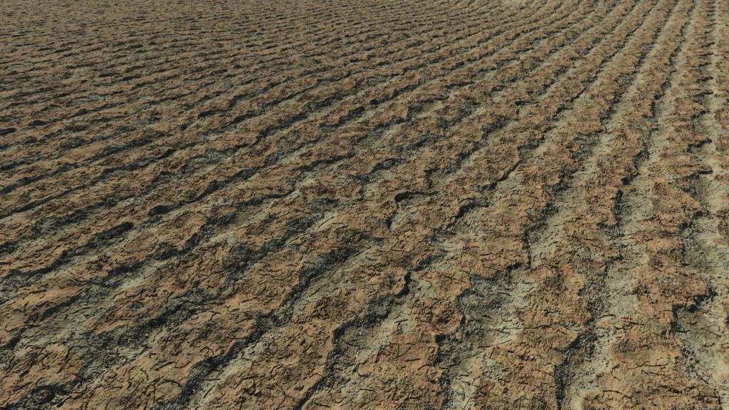 Fields