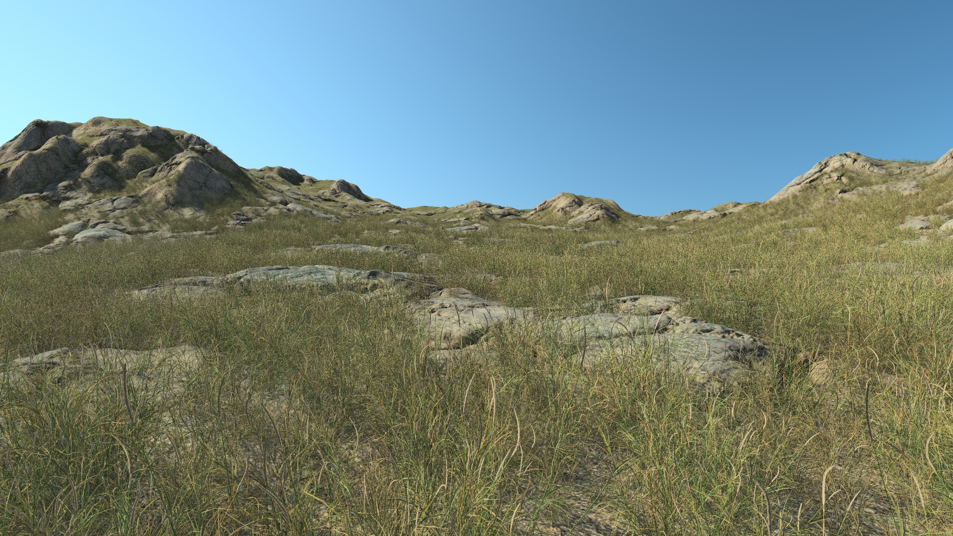 Summertime long grass_0