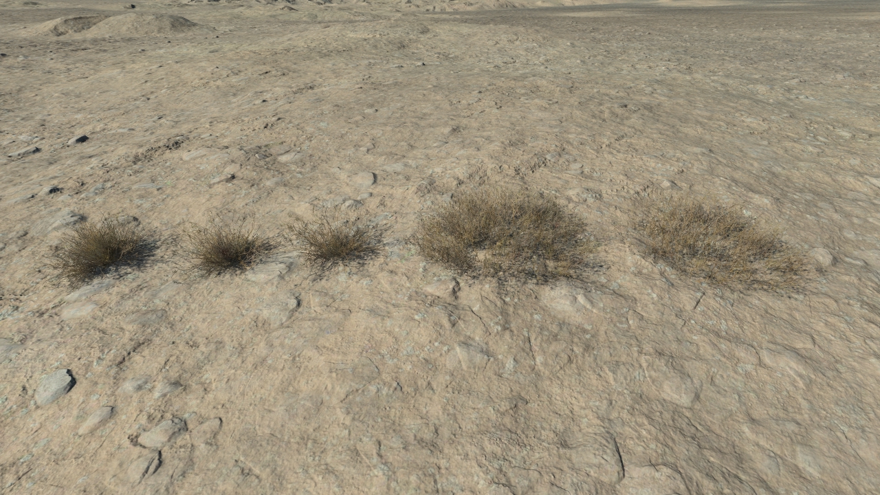 Dry Calluna_3