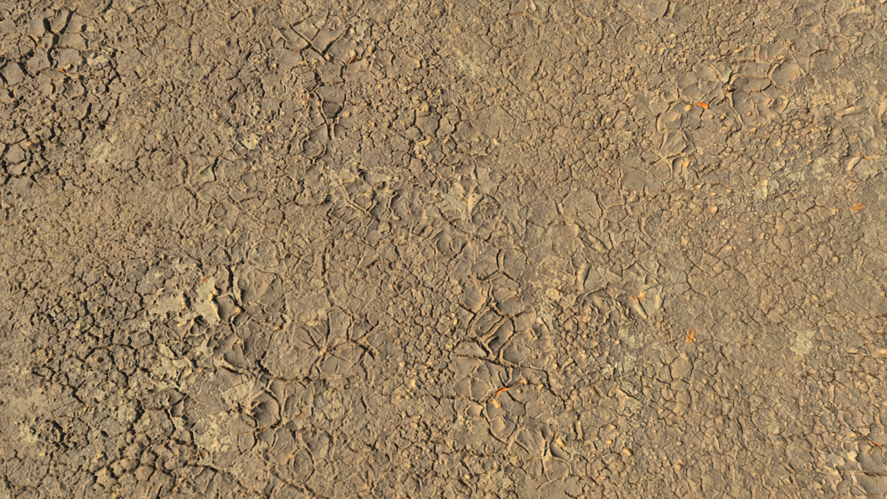 Dry soils_1
