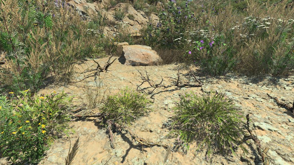 Dead Branches