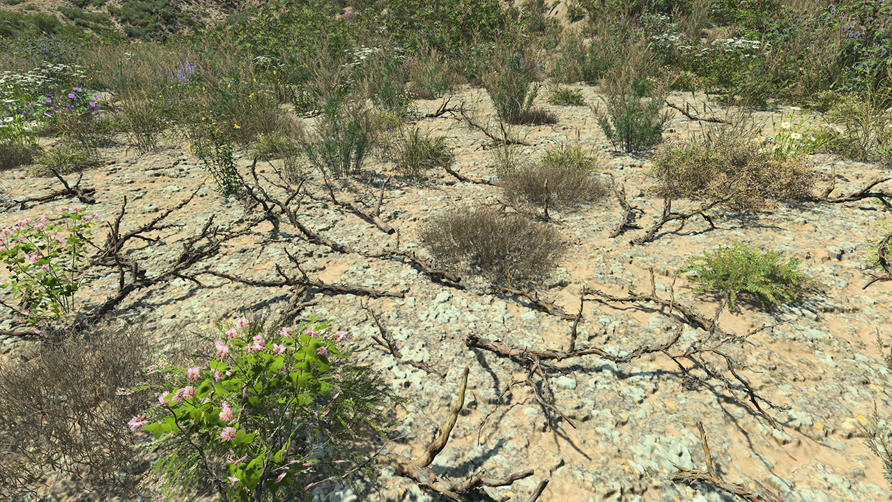 Dead Branches_3