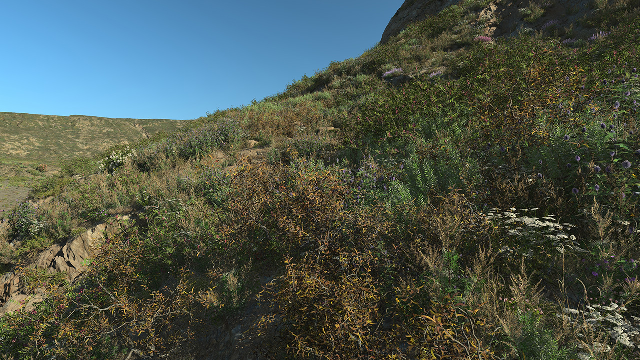 Dry Bushes_3