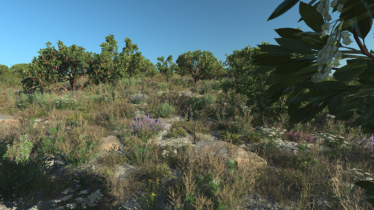 Strawberry Trees_2
