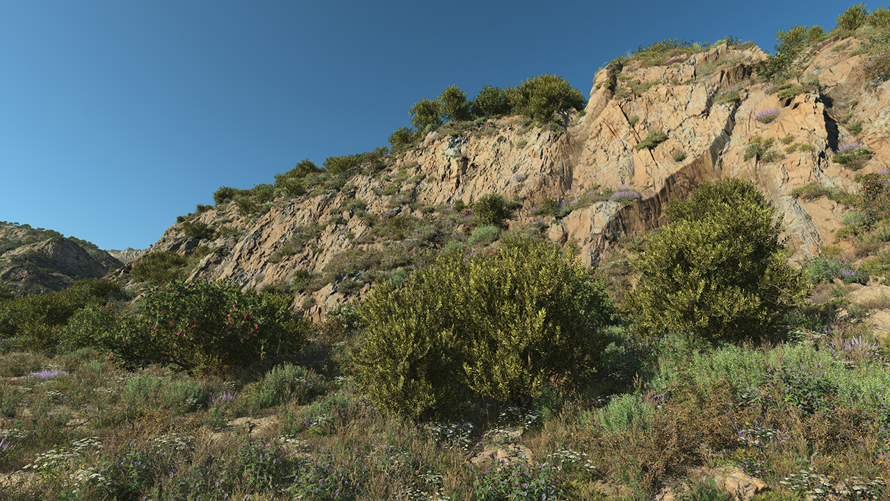 Laurel Wild Bushes_3