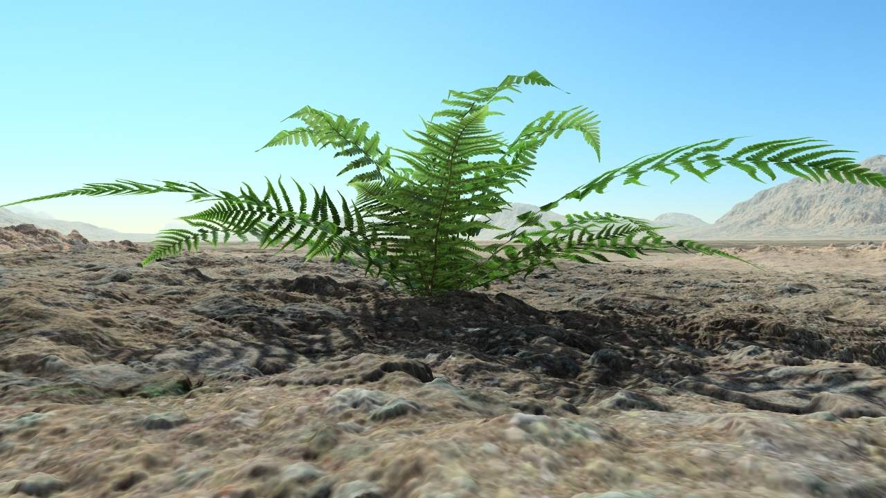 Summer ferns_3