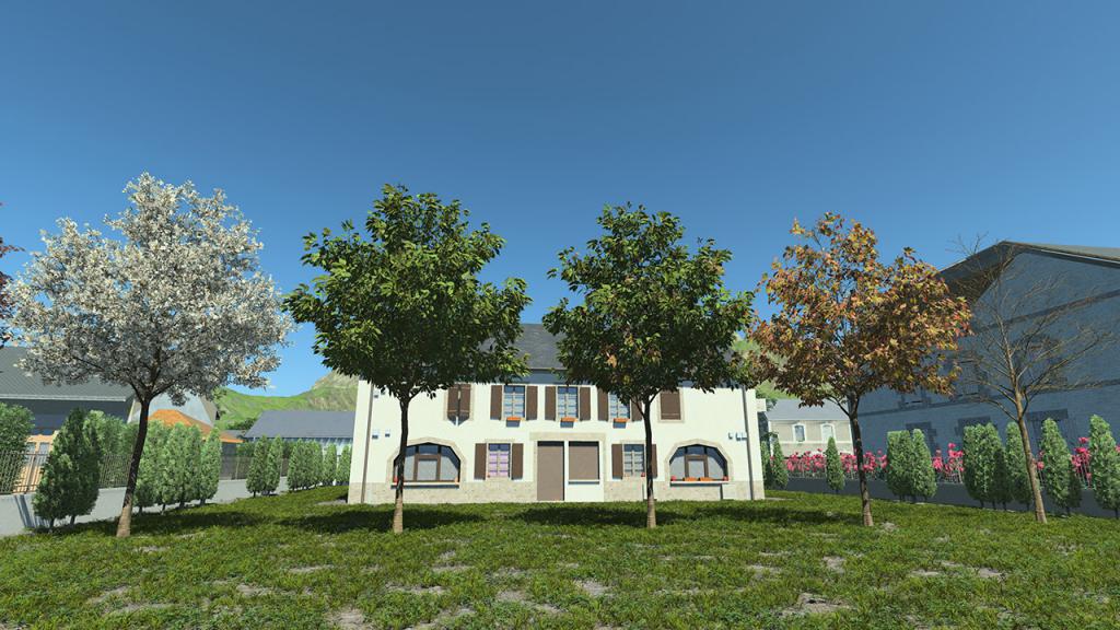 Small Cherry Trees