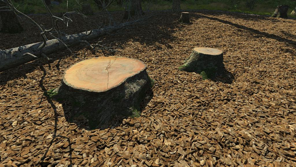 Cut Tree Stumps Vol_1