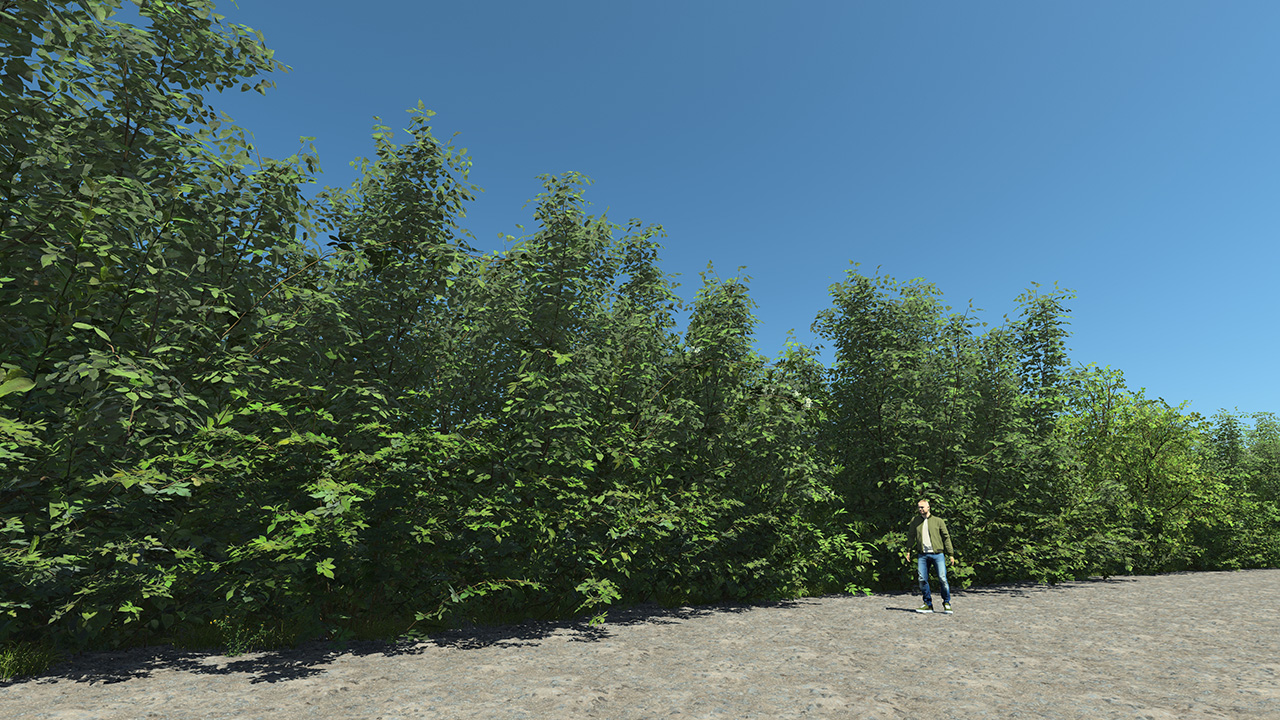 Vegetation Screen Biome_1