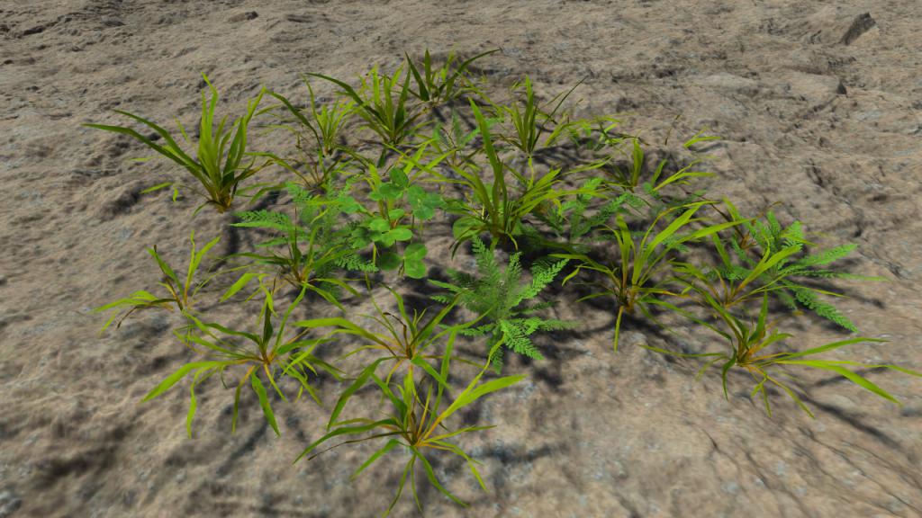 Lawn grass patches