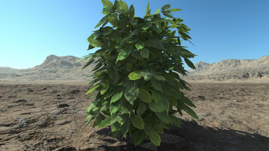 Small hornbeam hedge