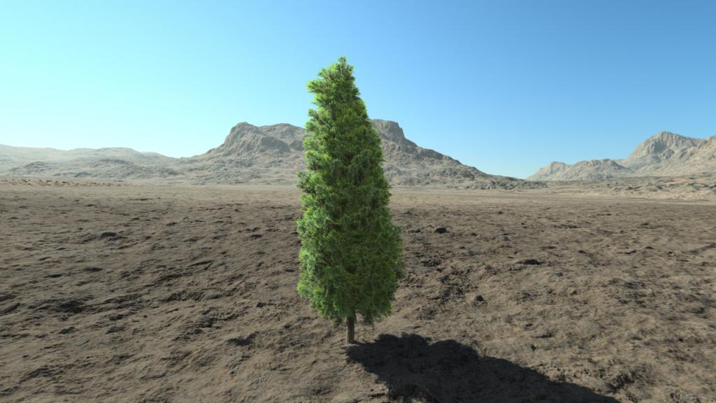 Small thuja hedge